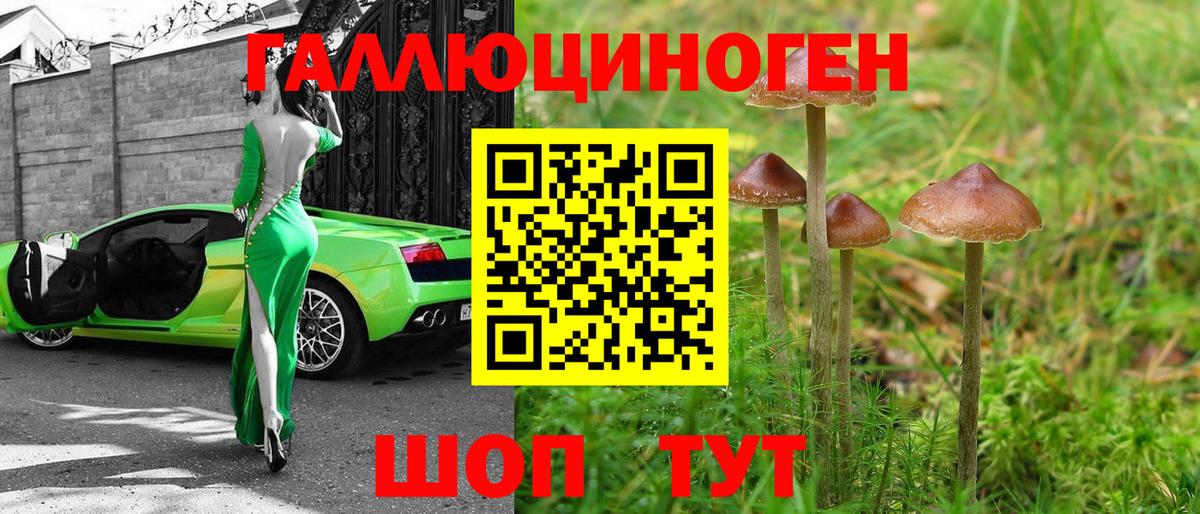 Моздок  Псилоцибиновые грибы мухоморы  Галлюциногенные грибы Magic Shrooms  Вход с VPN 