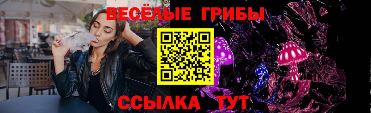 Галлюциногенные грибы Cubensis Моздок